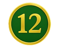 CS12-removebg-preview