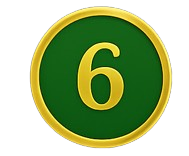 CS6-removebg-preview