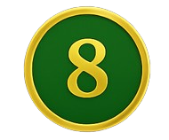 CS8-removebg-preview