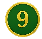 CS9-removebg-preview