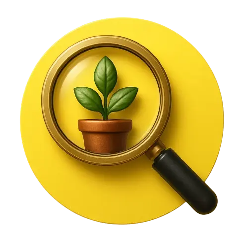 ChatGPT_Image_3_sept_2025__21_06_35-removebg-preview