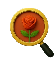 Captura-removebg-preview (1)