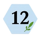 EI12-removebg-preview-removebg-preview