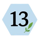 EI13-removebg-preview-removebg-preview